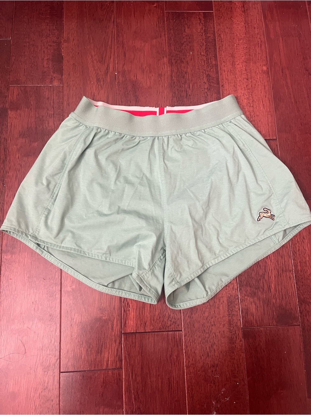 Tracksmith Sage Green Athletic Shorts